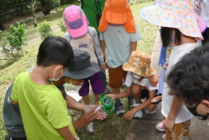 學生於西貢蕉坑獅子會自然教育中心觀察陸地小生物。