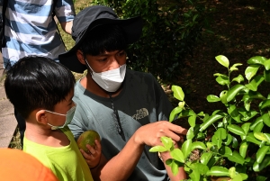 學生於導師指導下學習植物的知識。